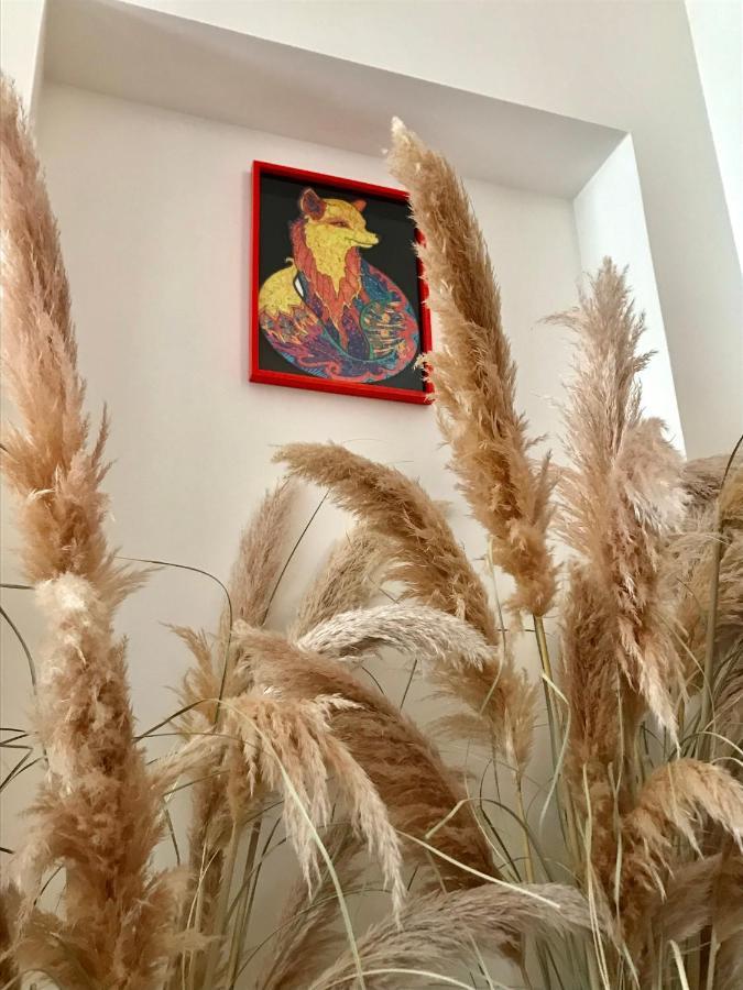 레체 La Urpe 아파트 외부 사진